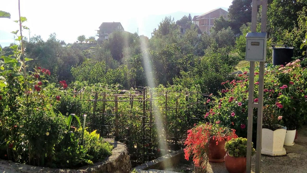 טיווט Apartmani Bosco מראה חיצוני תמונה